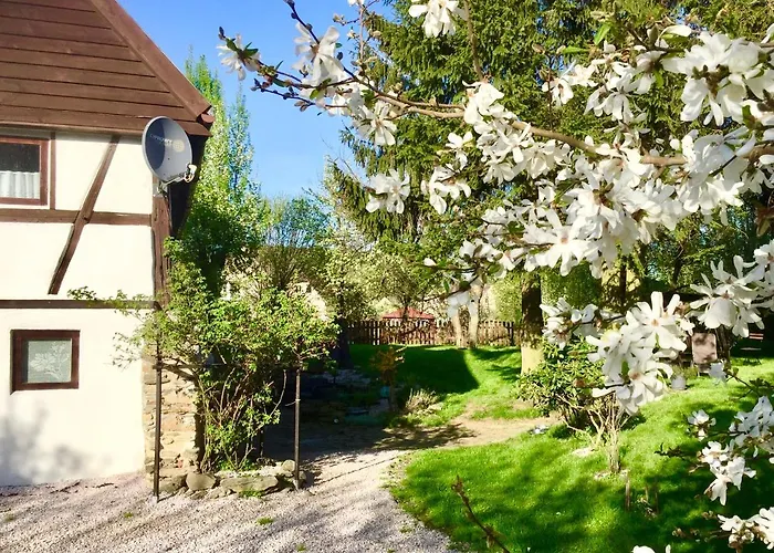 Za Rozowymi Drzwiami *