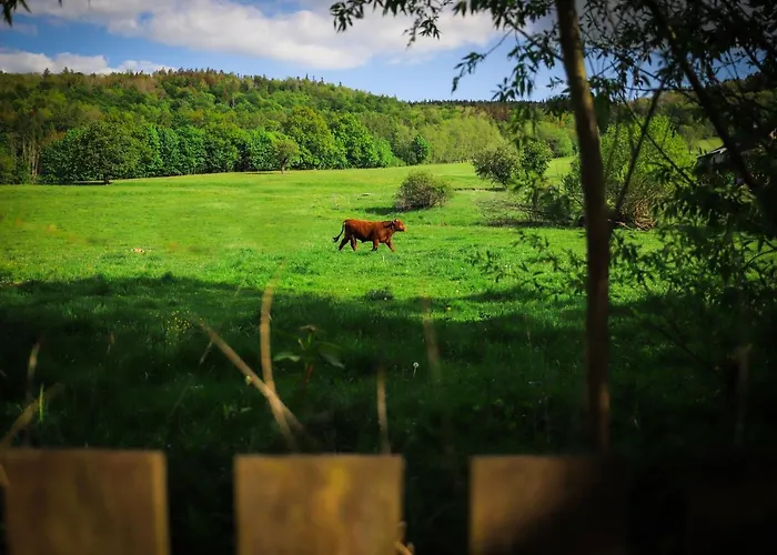 Tatil Evi Za Rozowymi Drzwiami *